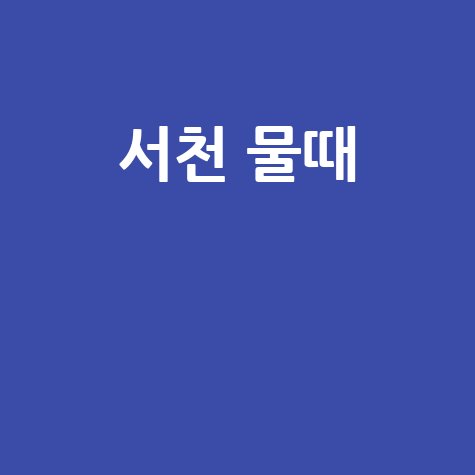 서천 물때 낚시 갯벌 체험 시간 완벽 정리