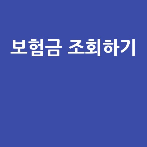내보험찾기 조회로 보험금과 혜택 확인하기